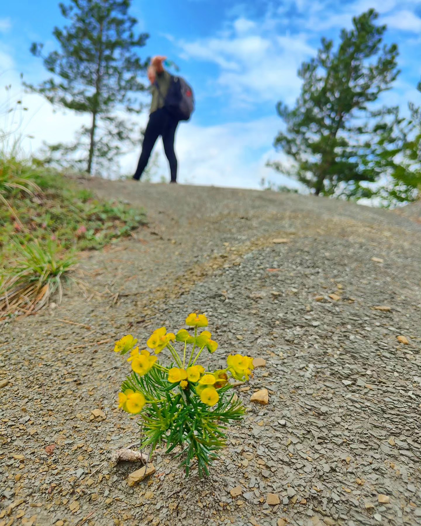 Dom z Kamienia blog Kasi Nowackiej, trekking w Marradi