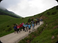 Colla dels Bufets d'Olot