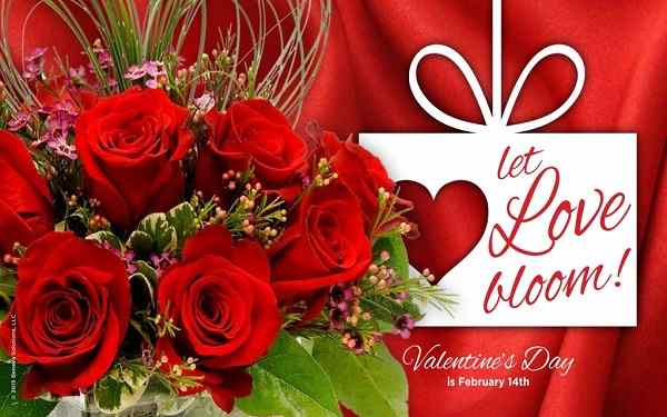 Valentines Day 2018 Best Message Wishes Images Happy Valentines Day Quotes