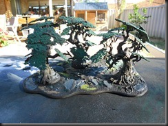SAM_0631 SAM_0631