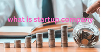 what is the meaning of a startup?