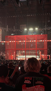 Picture of the Hell in a Cell Cage in a darkened arena.