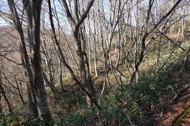 岡山県真庭市の蒜山下徳山 蒜山大山スカイラインからの眺望