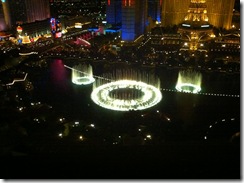 2010-07-BellagioRoomView03