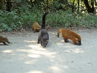 Parque Ecológico do Tietê