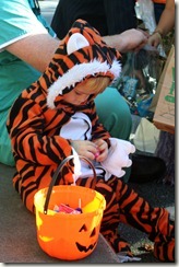 2010-10-29 (34)