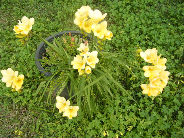 2009_03010008.JPG