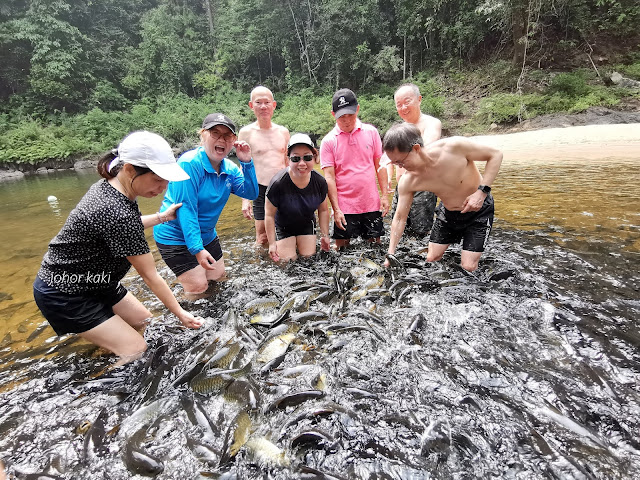 Road Trip from Singapore to Tasik Kenyir Lake with Wheels for Fun