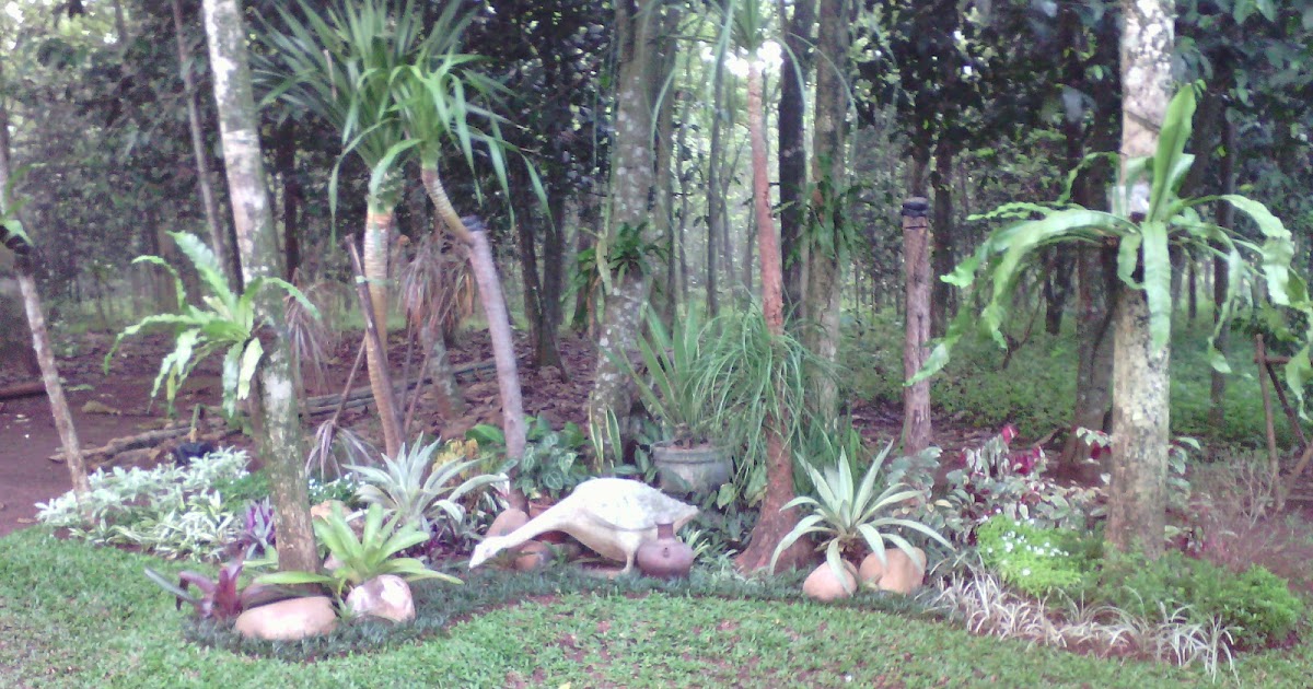 Dekorasi Taman Ala Bali Rumah Unieq Dekorasi Taman Ala Bali Rumah Unieq