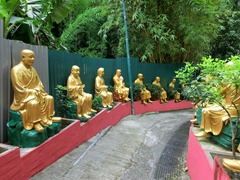 CIMG0961