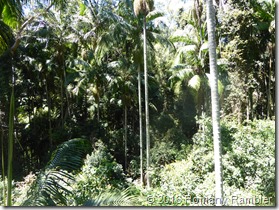 P1010952