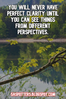 You will never have perfect clarity until you can see things from different perspectives.