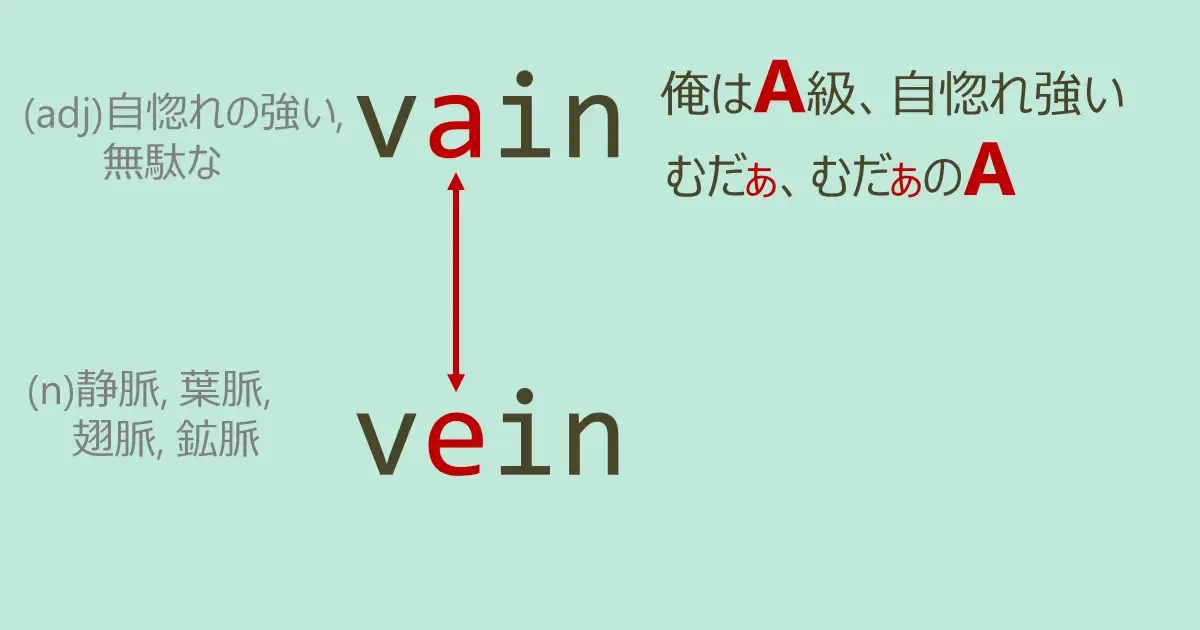vain, vein, スペルが似ている英単語