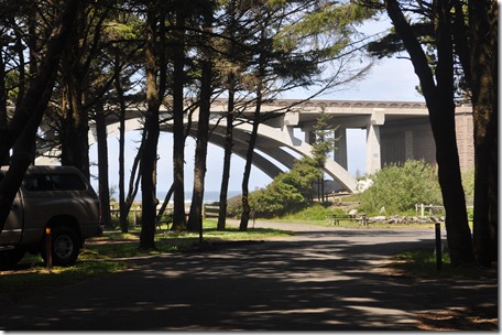 Around the park in Newport 002