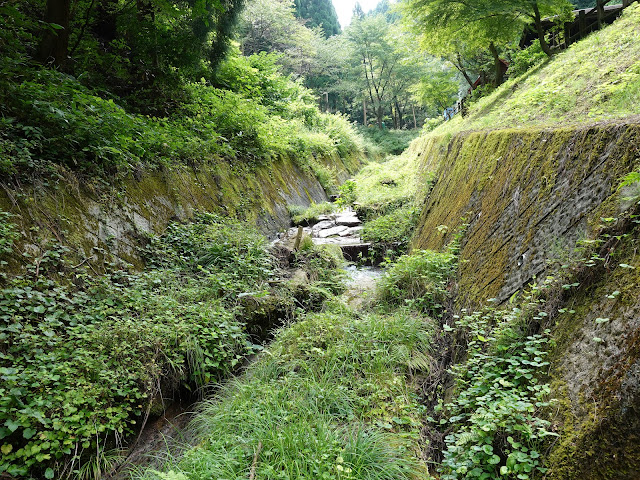 鳥取県西伯郡南部町東上のこもれび広場