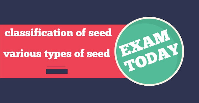 classification of seeds,and types of seeds