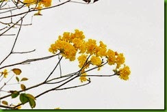 clip_image007