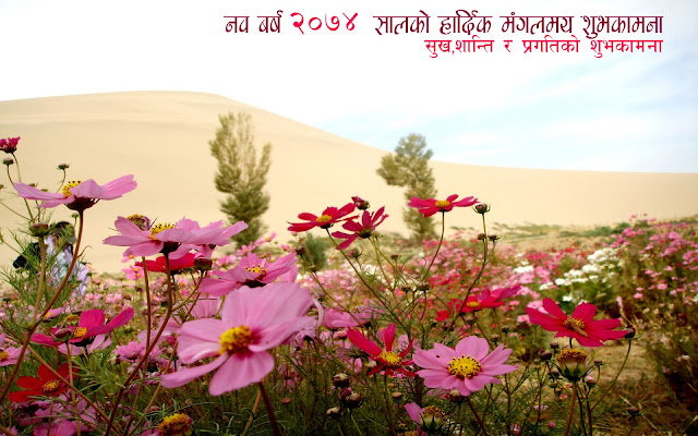   (Happy New Year 2074)