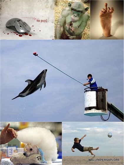 100 World Best Funny Photos Collection { SET-17 }