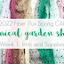 2022 Spring CAL Week 1: Botanical Garden Shawl