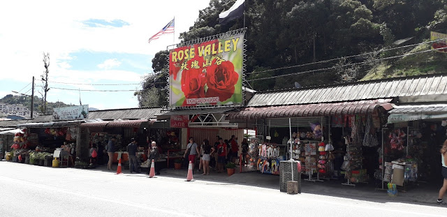 Rose Valley @ Cameron Highland