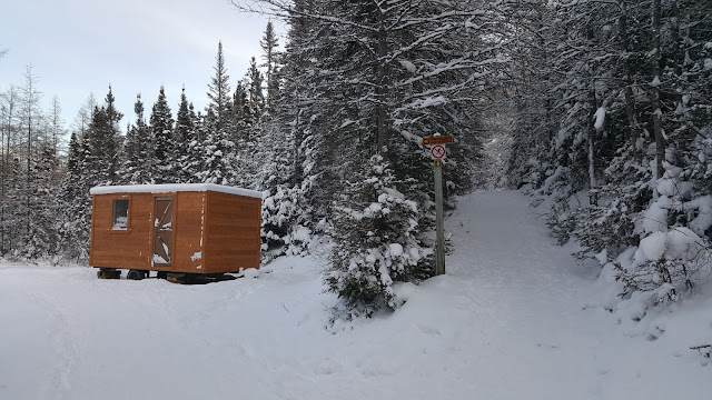 Sentier vers le mont Olivine