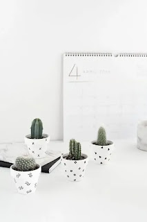 20 ideas de mini jardín de cactus