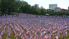 flag garden - view 3