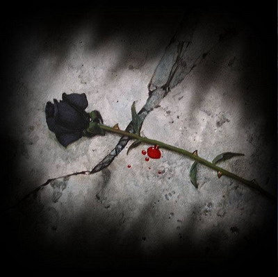 love quotes and poems for him. love quotes and poems for him. love quotes and poems for him.