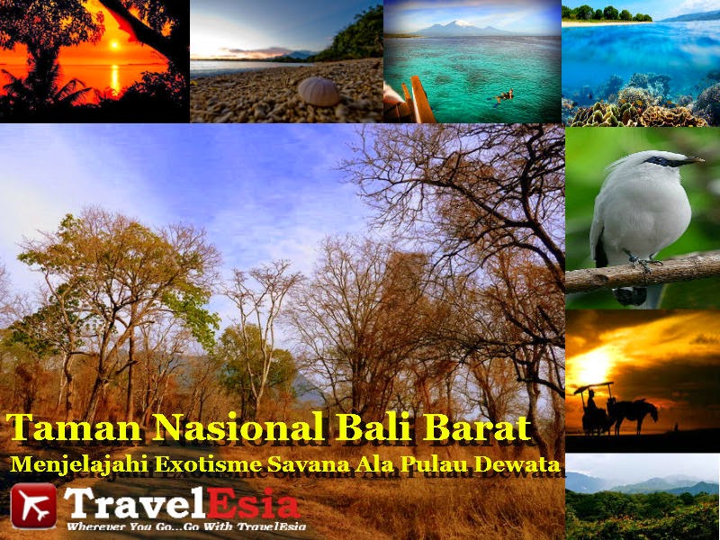 Taman Nasional Bali Barat