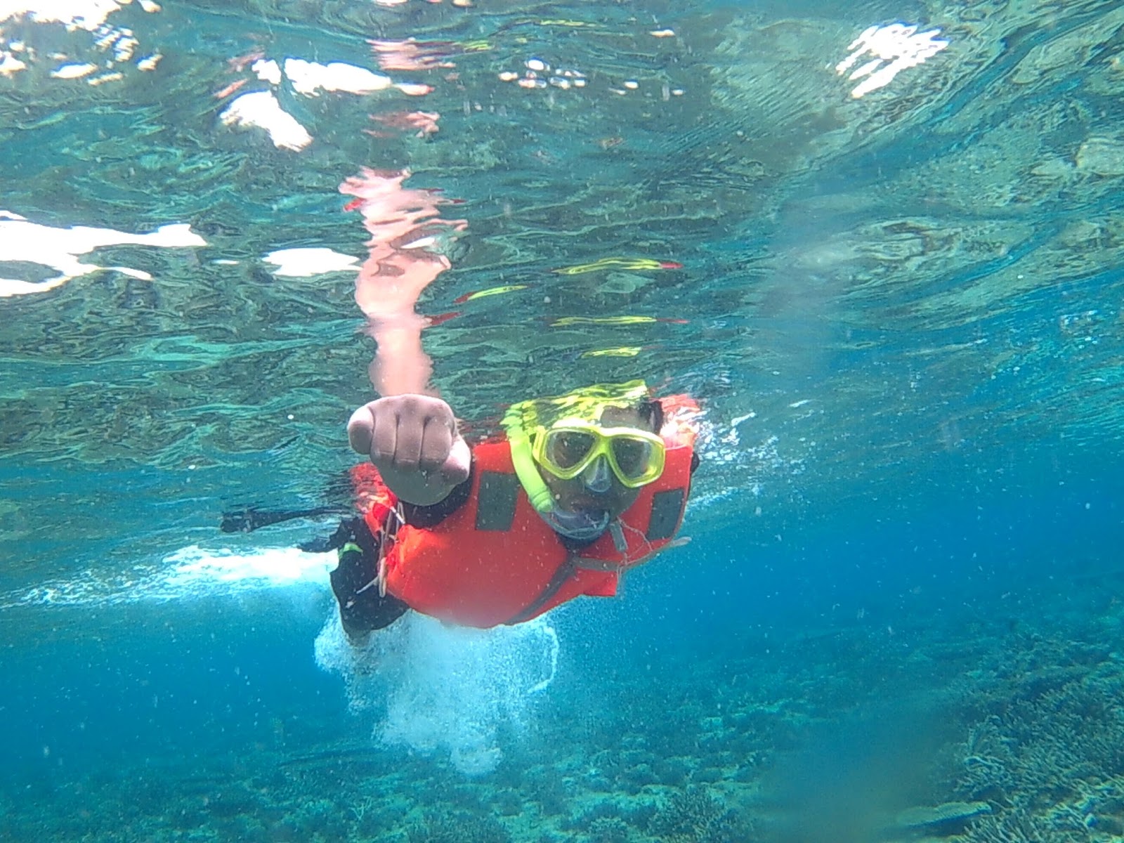 Merengkuh Keindahan Bawah Laut Pulau Samalona Makassar 