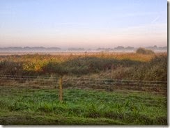 IMG-20131007-01372