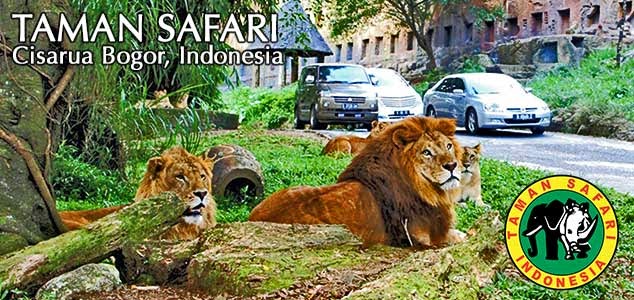 Taman Safari Indonesia 