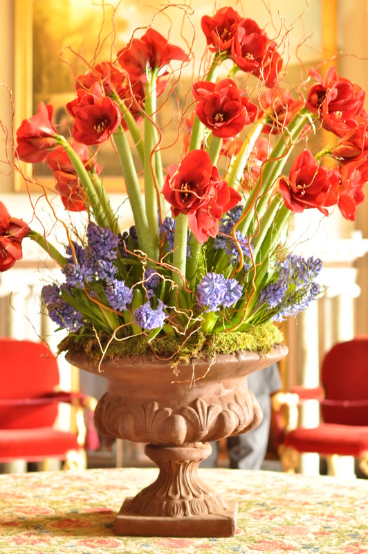 the front hall was filled with the most wonderful perfume from the hyacinths