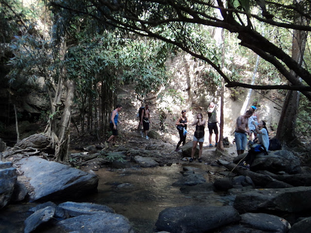 trekking to phan ngam, trekking doi pha ngam, hiking doi pha ngam, doi pha ngam, pha ngam cliff, doi phan gam cliff, two seasons cliff, 1 day trek doi pha ngam