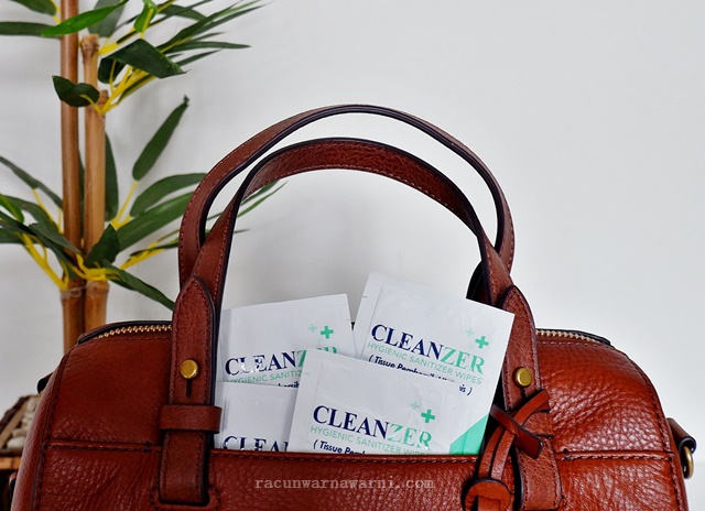 Cleanzer Sanitizer Wipes