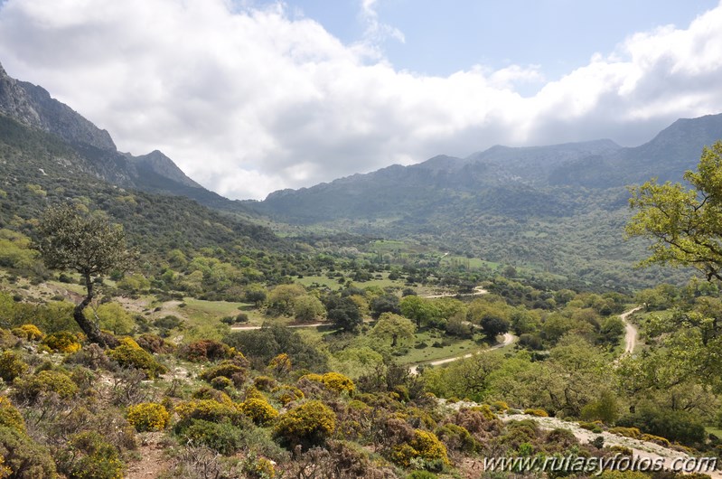 Llanos del Campo - Tesorillo - Cerro del Granadillo - Cerro de las Cuevas - Llanos del Berral