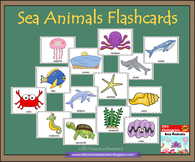 sea animals or creatures flashcards