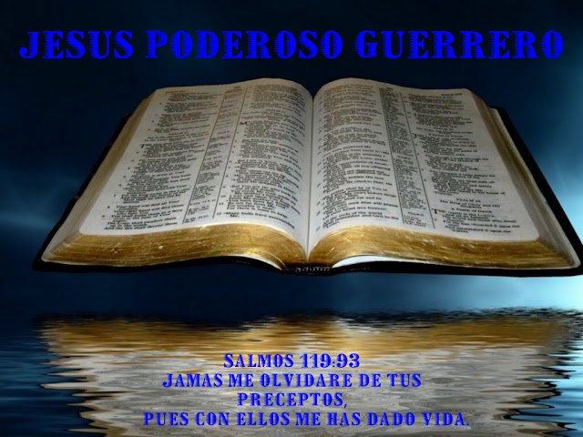 JESUS PODEROSO GUERRERO