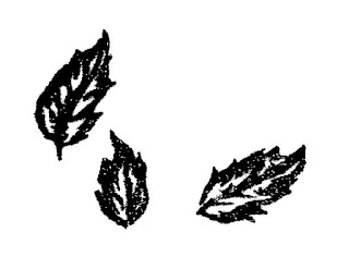 leaf botanical illustration image