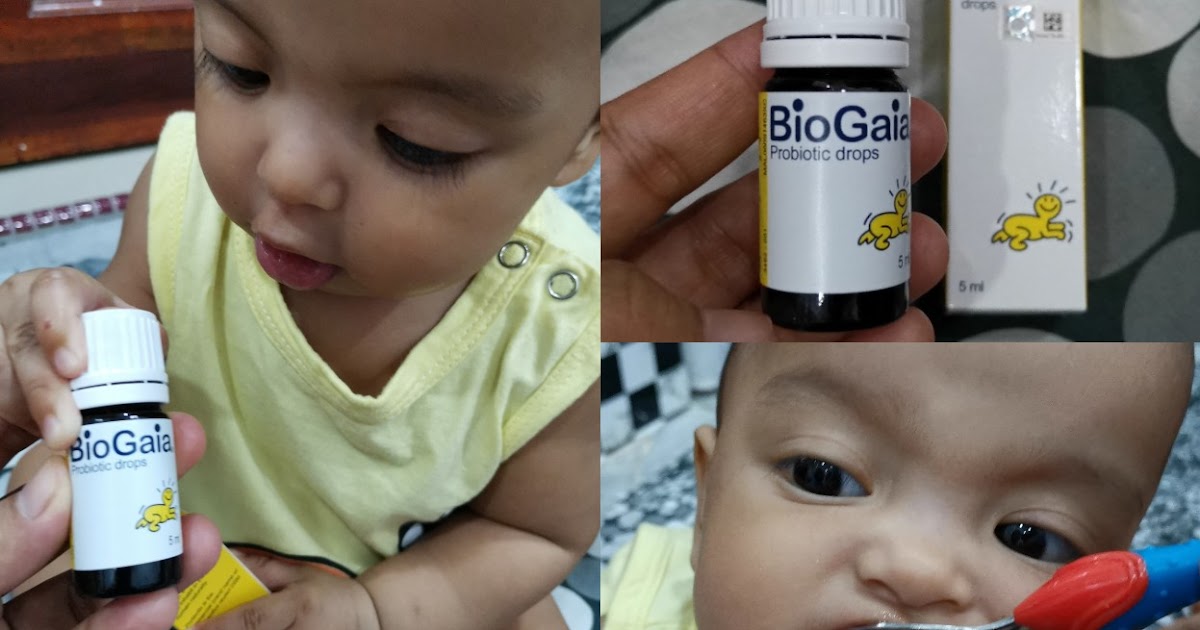 Probiotik baik untuk usus  BioGaia Probiotic  irrayyan.com