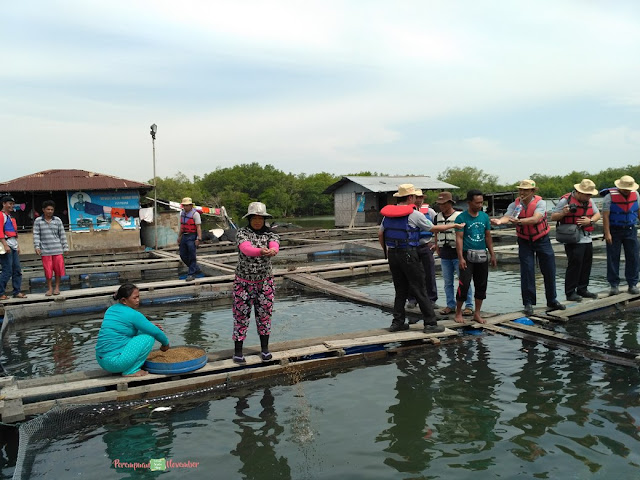 tambak ikan terapung