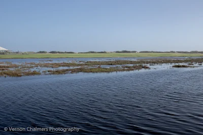 Diep river water level across from the Milnerton Golf 