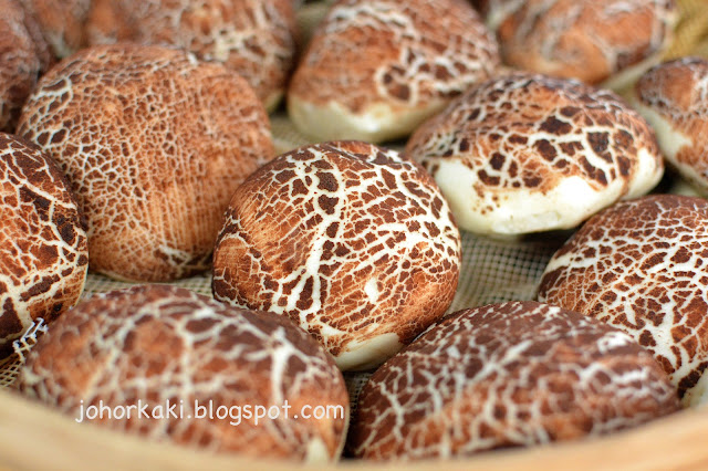 Mushroom-Pau-Johor-Bahru-Pasar-Malam-養生蘑菇包