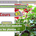 Télécharger | Cours | Tronc commun  Sciences  > La reproduction asexuée chez les plantes  (TCS Biof)  SVT  #3