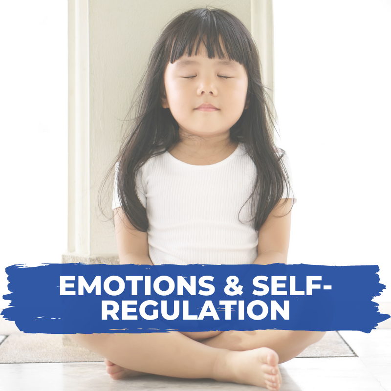 Emotional self-regulation resources