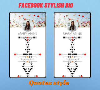550+ Facebook Bio Style | Facebook Vip Bio Stylish 2024