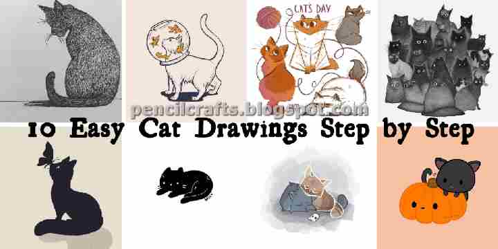 Cat Pencil Drawings Sketches and Ideas