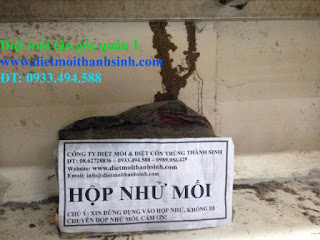 Dat hop nhu moi Diet moi tai quan 1