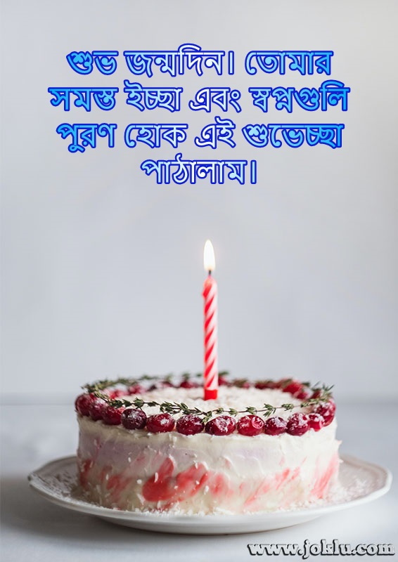 Wishes and dreams come true birthday message in Bengali